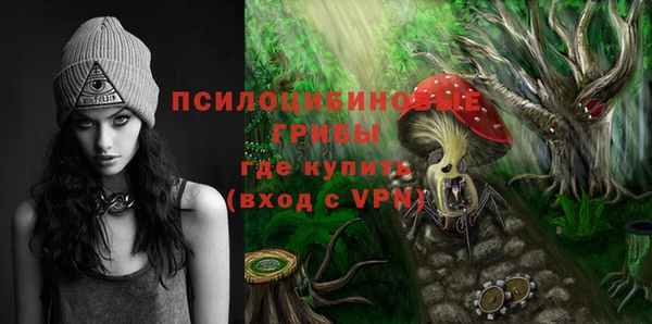 сатива Абинск