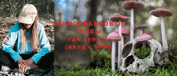 мет Алексин