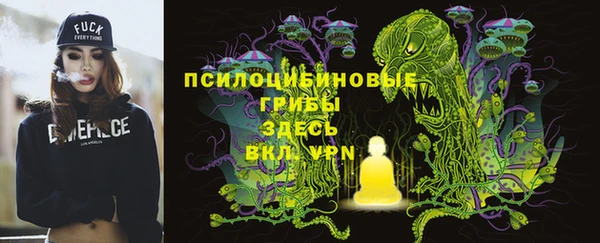 мет Алексин