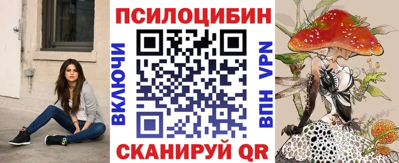 Галлюциногенные грибы Cubensis  где можно купить   Черемхово 